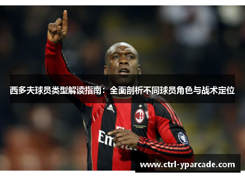 西多夫球员类型解读指南：全面剖析不同球员角色与战术定位