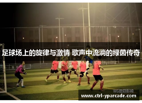 足球场上的旋律与激情 歌声中流淌的绿茵传奇